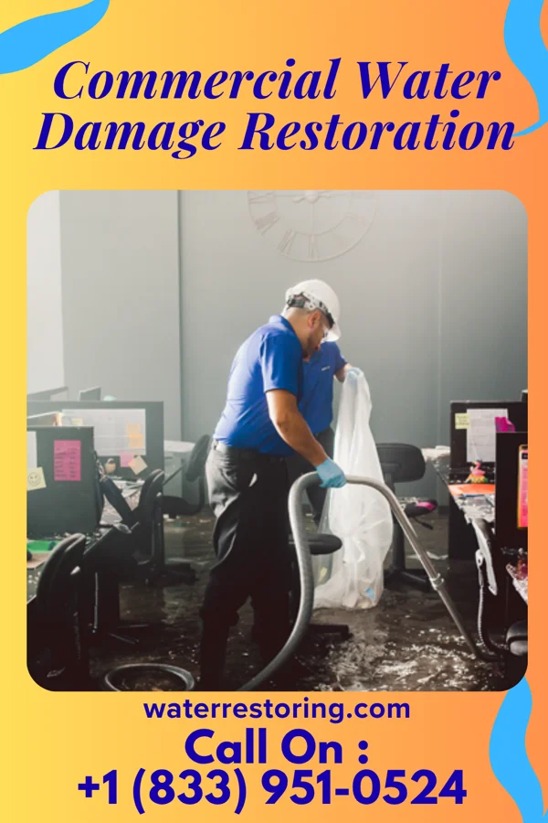 Commercial Water Damage Restoration in Carnation, WA